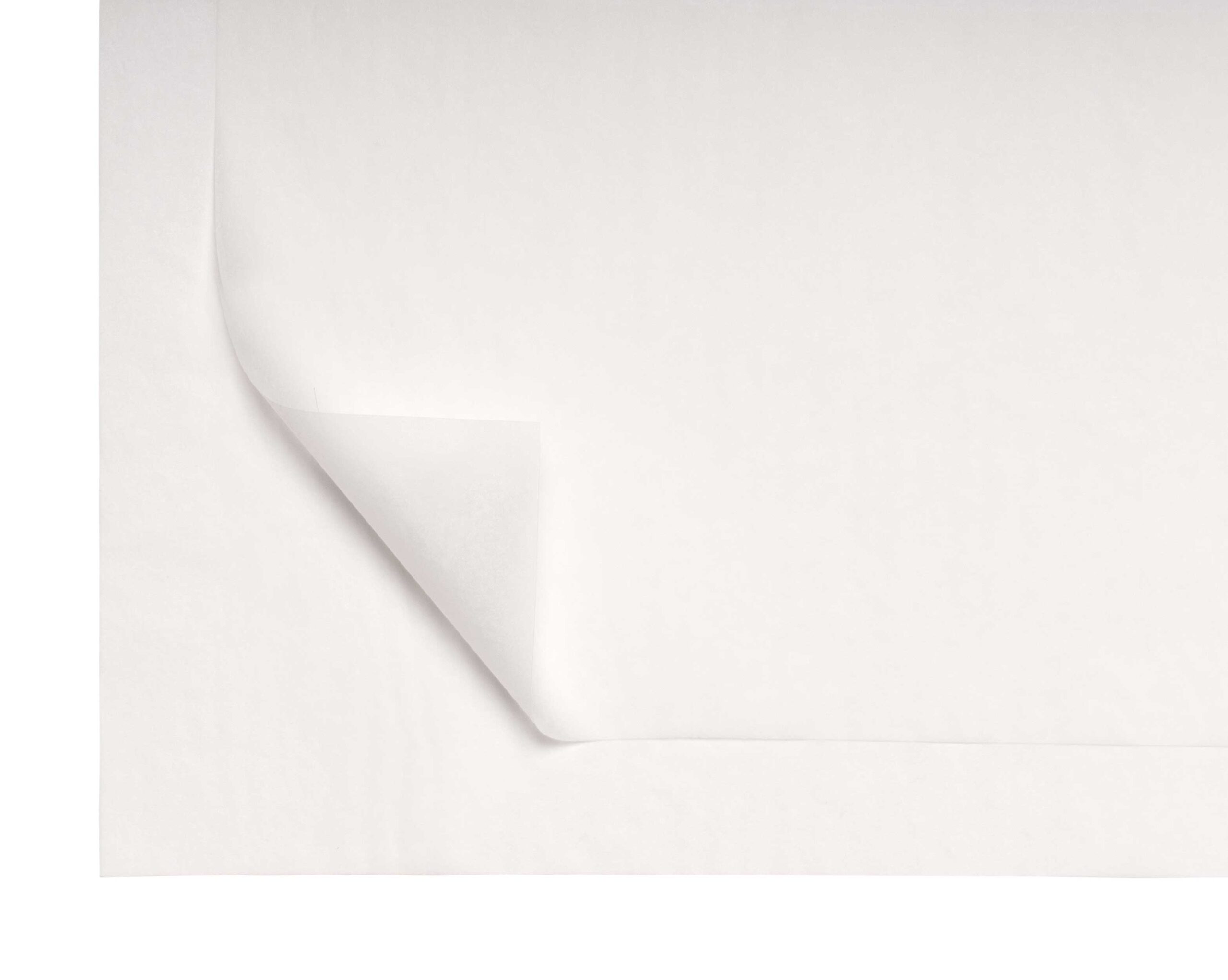 Wet strength and greaseproof paper